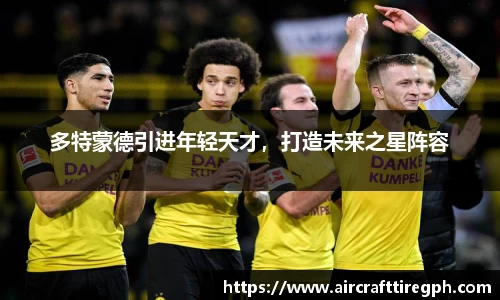 多特蒙德引进年轻天才，打造未来之星阵容
