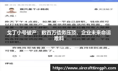 戈丁小号破产：数百万债务压顶，企业未来命运难料