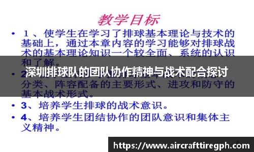 深圳排球队的团队协作精神与战术配合探讨