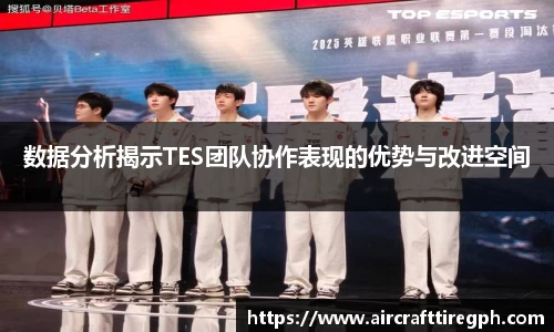 数据分析揭示TES团队协作表现的优势与改进空间