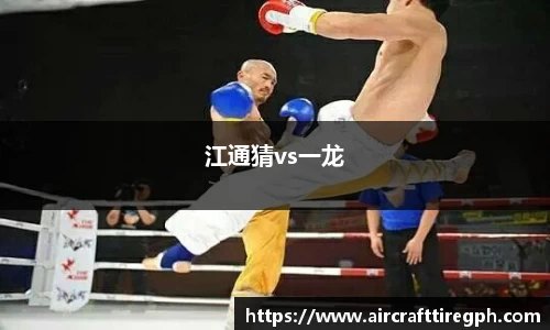 江通猜vs一龙