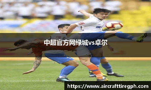 中超官方网绿城vs卓尔